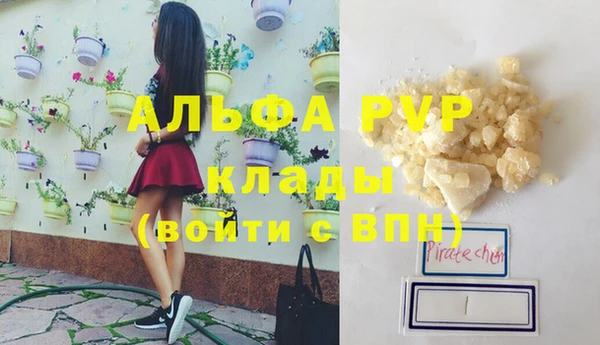гашик Вязьма