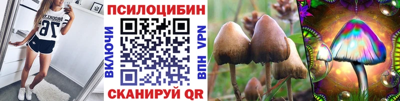Галлюциногенные грибы мухоморы  где купить наркоту  Зерноград 
